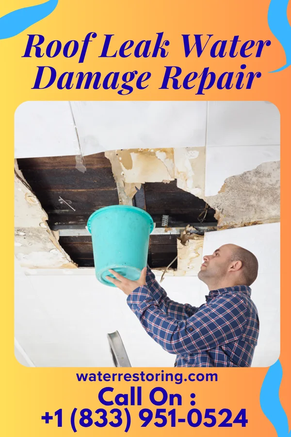 Roof Leak Water Damage Repair in Cranfills Gap, TX